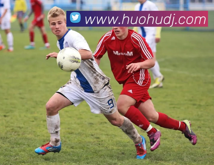 火狐电竞平台生态图