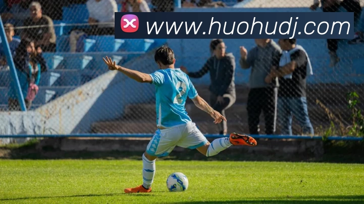 火狐电竞APP 封面图